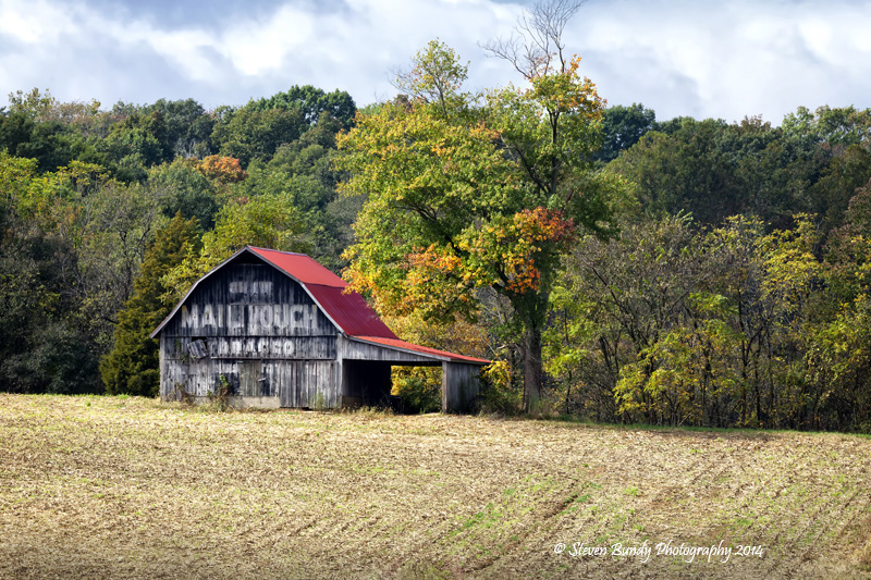 Mail Pouch Barn – Washington, Indiana – 2014
