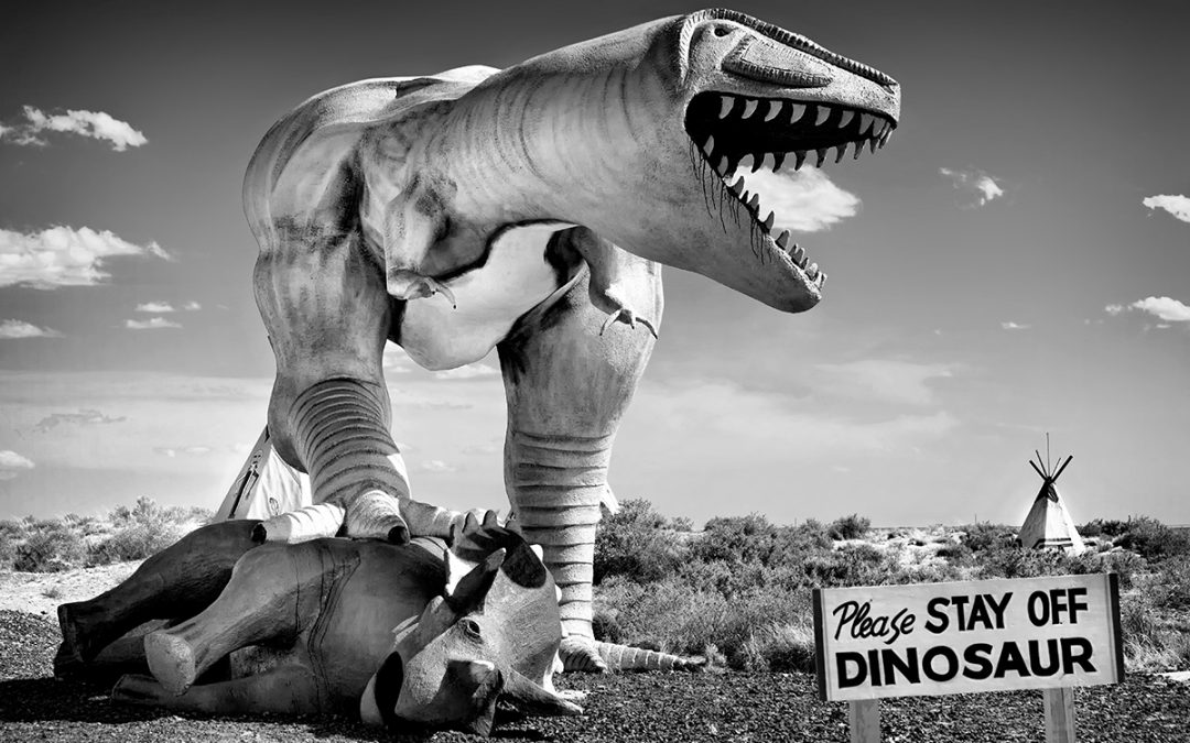 Please Stay Off Dinosaur  Painted Desert Indian Center, Arizona – 2013