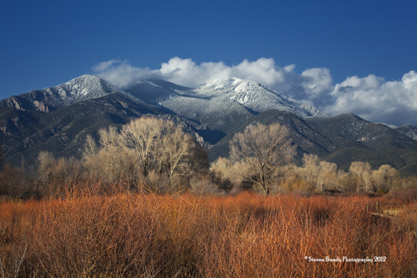 Taos Mountain with Red Willows